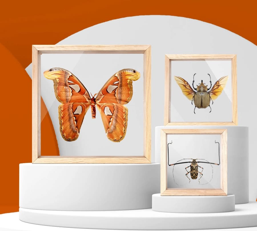 30 rámiky - hero image