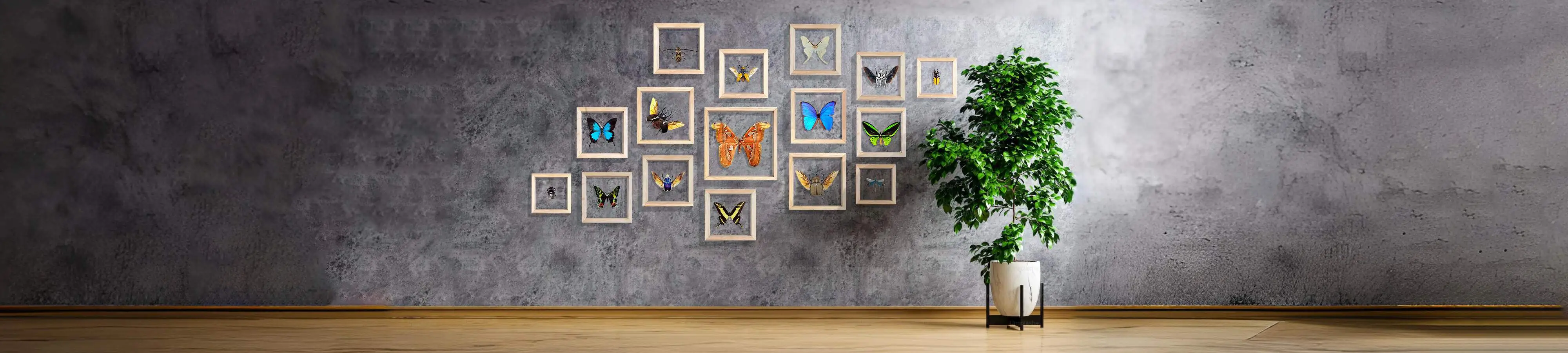 wall with frames